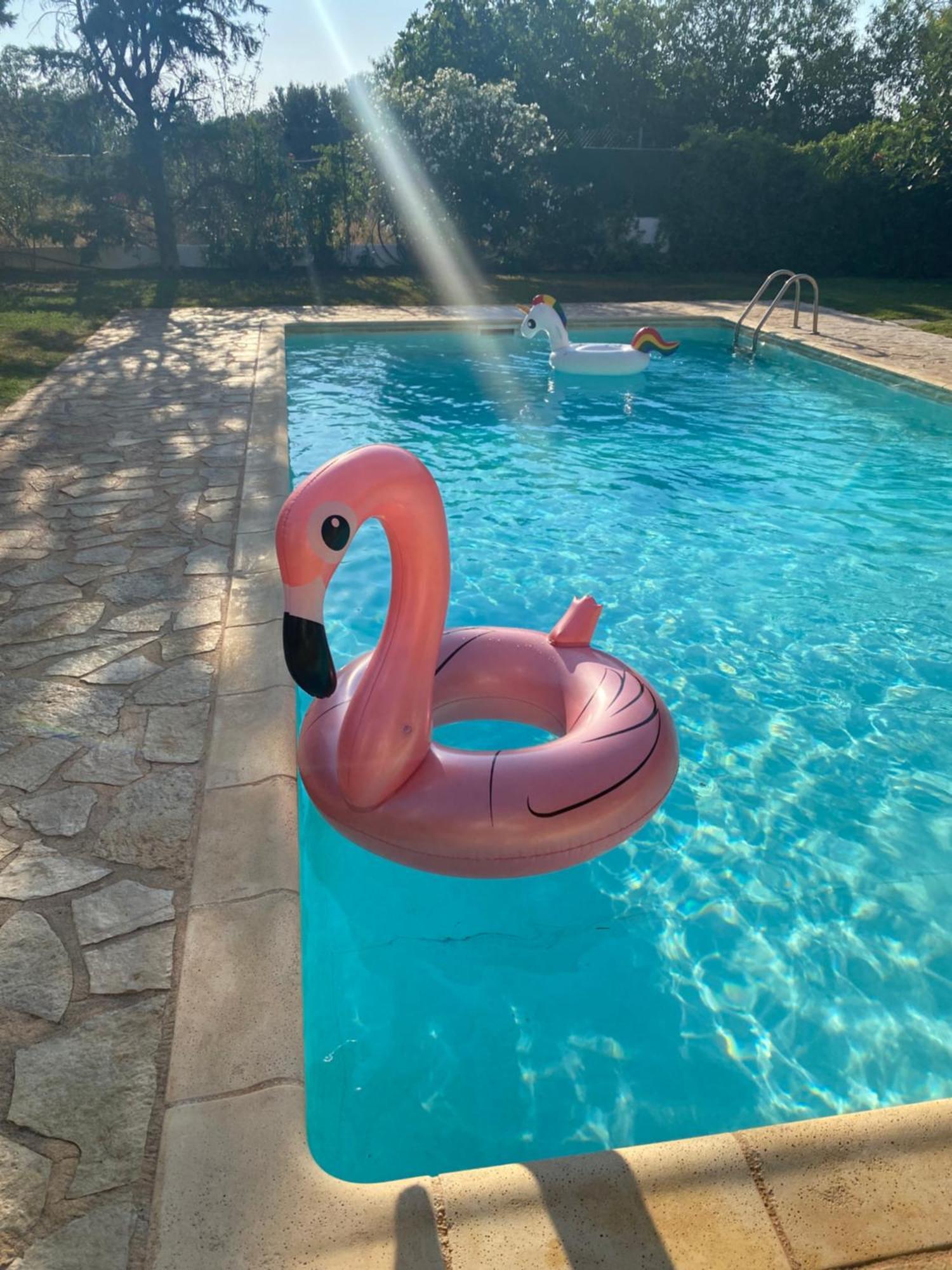 Relaxing Villa With Swimming Pool And Garden Agios Georgios  Exteriér fotografie