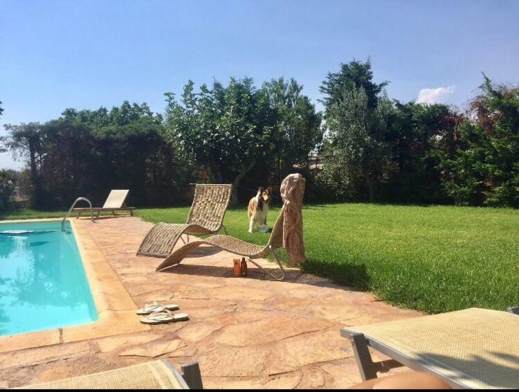Relaxing Villa With Swimming Pool And Garden Agios Georgios  Exteriér fotografie